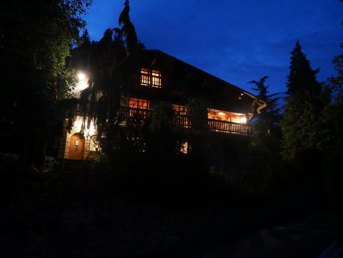 Chalet Horizon Blanc 梅杰夫 外观 照片